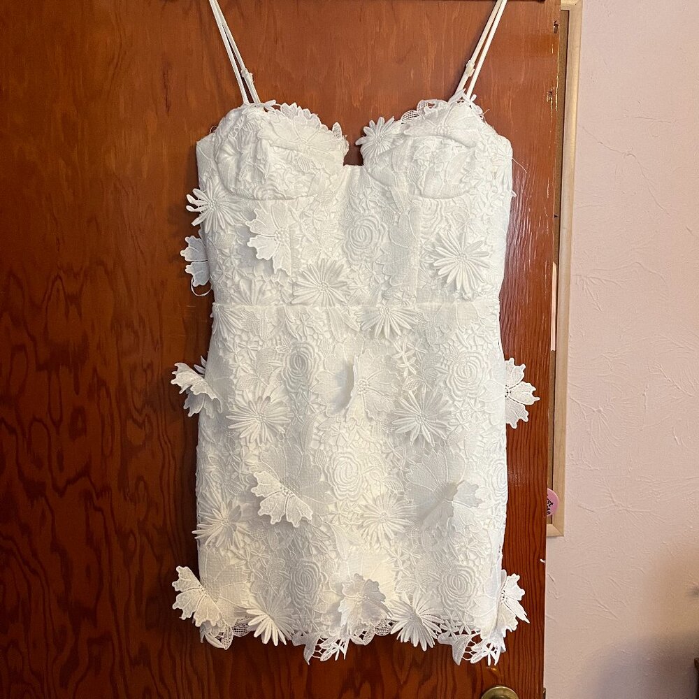 Bardot Brias Lace Mini Dress